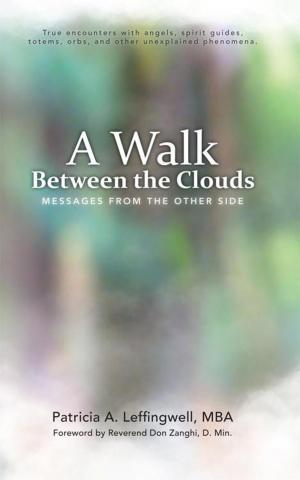 bigCover of the book A Walk Between the Clouds by 