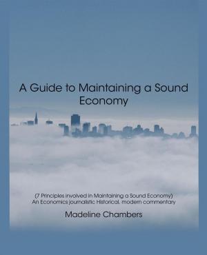 Cover of the book A Guide to Maintaining a Sound Economy by Brian Davies
