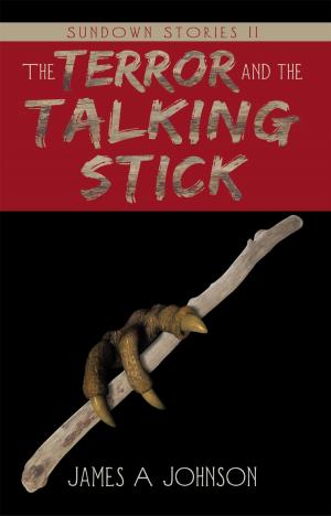 Cover of the book The Terror and the Talking Stick by William B. Kearney, William H. Quinn, Robert J. Barcelona