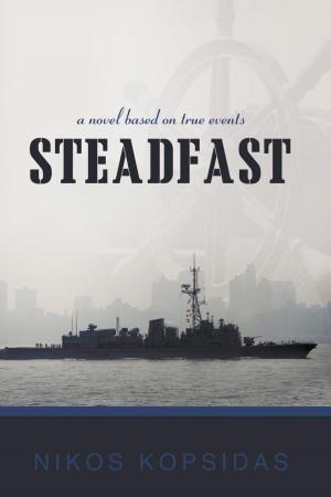Cover of the book Steadfast by Lou Petrucci