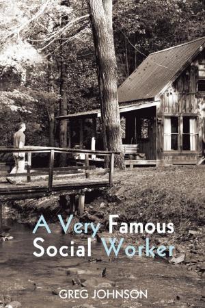 bigCover of the book A Very Famous Social Worker by 