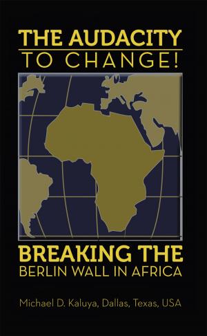 Cover of the book The Audacity to Change: Breaking the Berlin Wall in Africa by Luis Luna Osorio