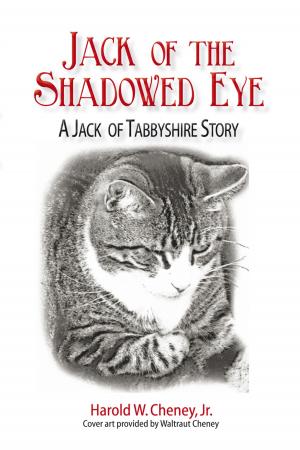 Cover of the book Jack of the Shadowed Eye by Judy Foster
