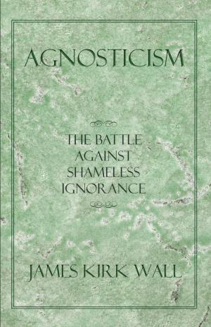 Cover of the book Agnosticism by Daurius Figueira