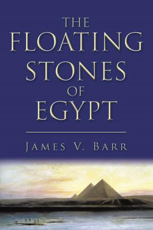 Cover of the book The Floating Stones of Egypt by C. McPherson