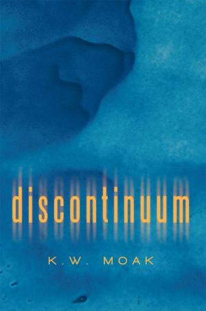 bigCover of the book Discontinuum by 