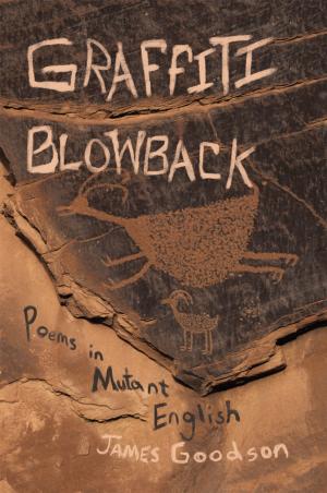 Cover of the book Graffiti Blowback by Ken Saik