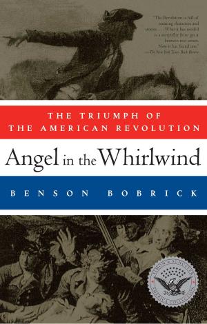 Book cover of Angel in the Whirlwind
