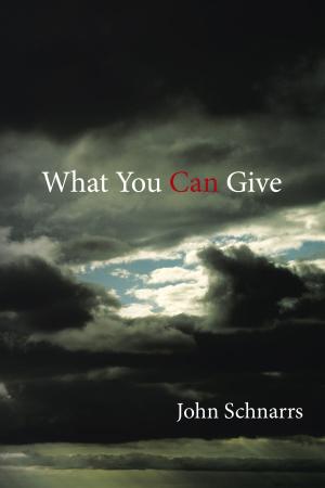 bigCover of the book What You Can Give by 