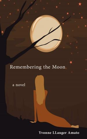 bigCover of the book Remembering the Moon by 
