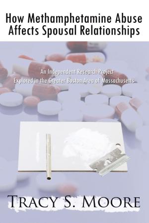 Cover of the book How Methamphetamine Abuse Affects Spousal Relationships by Ronald J. Franklin