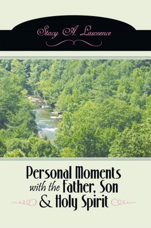 Cover of the book Personal Moments with the Father, Son & Holy Spirit by Maddie Roy