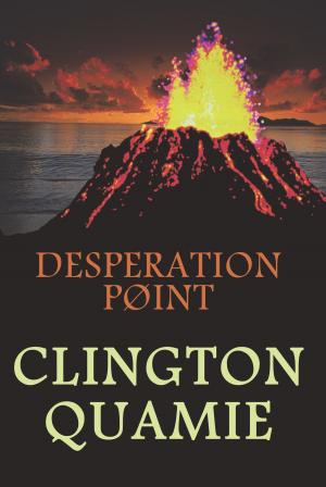 Book cover of Desperation Point