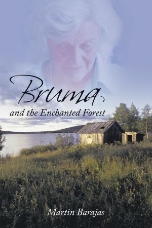 Cover of the book Bruma and the Enchanted Forest by Brian McComb