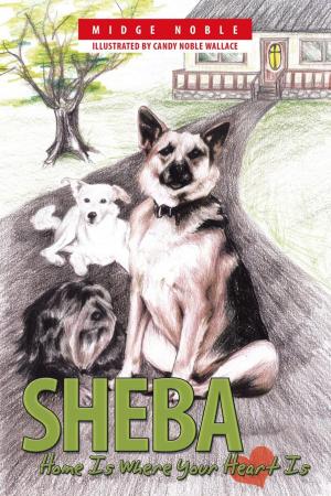 Cover of the book Sheba by Len Blanchard