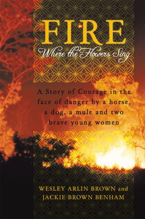 Cover of the book Fire by Sébastien Brégeon