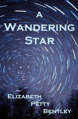 Book cover of A Wandering Star