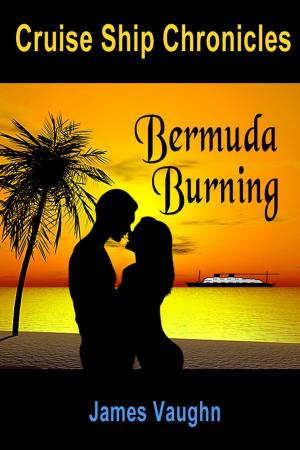 Cover of the book Cruise Ship Chronicles: Bermuda Burning by Deborah A. Bailey