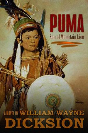 Cover of the book Puma Son of Mountain Lion by Theodor Storm