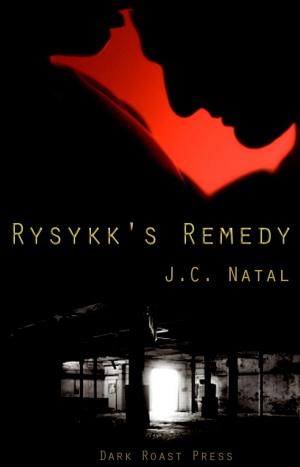 Cover of the book Rysykk's Remedy by Jade Twlight
