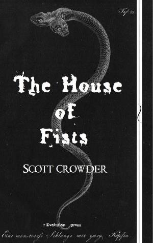 Book cover of The House of Fists