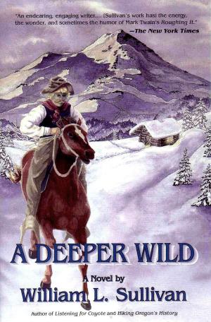 Book cover of A Deeper Wild
