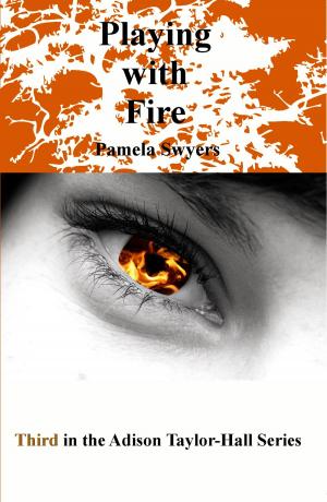 Cover of the book Playing with Fire by Barakat Akinsiku