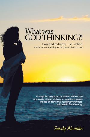 Cover of the book What Was God Thinking?! by Rev. Louis S. Mandrack