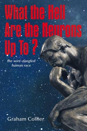 Cover of the book What the Hell Are the Neurons up To? by James McCormack