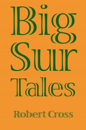 Book cover of Big Sur Tales