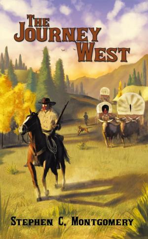 Cover of the book The Journey West by Gerald L. Kovacich