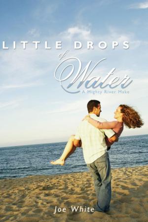 Cover of the book Little Drops of Water by J. D. Manders
