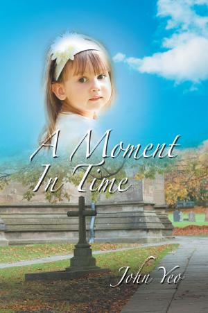 Book cover of A Moment in Time