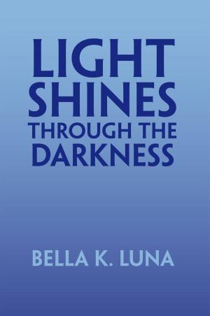 bigCover of the book Light Shines Through the Darkness by 