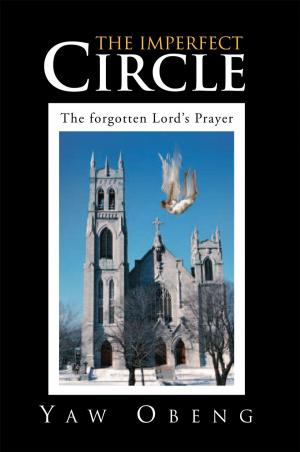 Cover of the book The Imperfect Circle by Angela Mary Lisle
