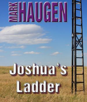 Cover of the book Joshua's Ladder by Julie Mellon