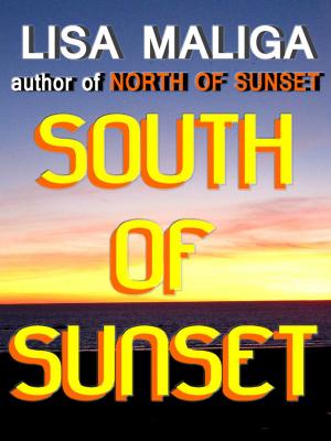 Book cover of South of Sunset