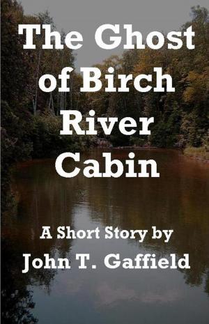 bigCover of the book The Ghost of Birch River Cabin by 