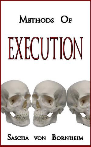 Cover of the book Methods of Execution by Jen Mann, Julianna W. Miner, Tara of You Know it Happens at Your House Too, Bethany Thies, Karen Alpert, Patti Ford, Susan McLean, Kim Bongiorno