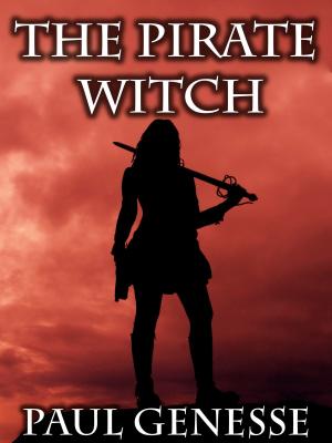Book cover of The Pirate Witch