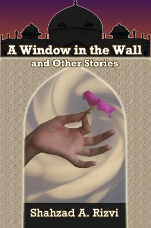 Book cover of A Window in the Wall and Other Stories