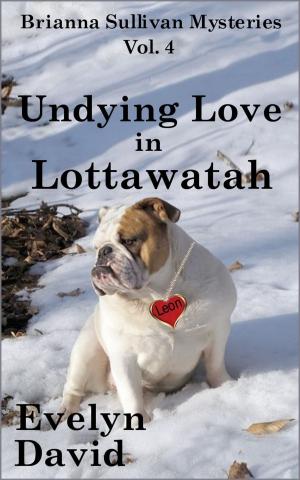 Book cover of Undying Love in Lottawatah