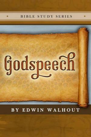 Cover of the book GODSPEECH by Edwin Walhout