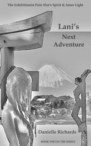 Cover of the book Lani's Spirit: The Next Adventure by N. E. Glover