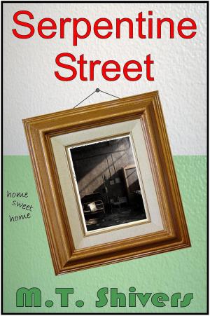Cover of Serpentine Street