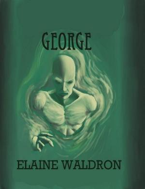 Cover of the book George by Clifford Eddins