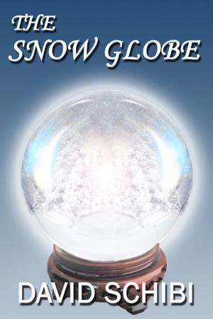 Cover of the book The Snow Globe by B.A. Austin