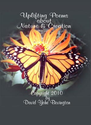 Book cover of Nature and Creation