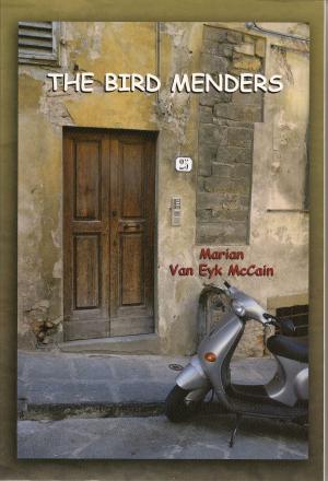 bigCover of the book The Bird Menders by 