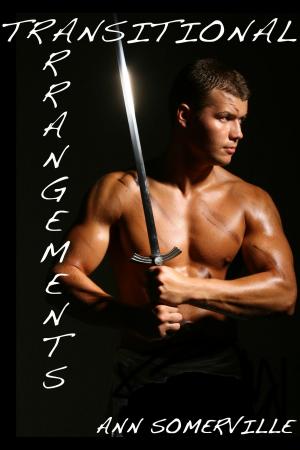 Cover of the book Transitional Arrangements by Nick Davis